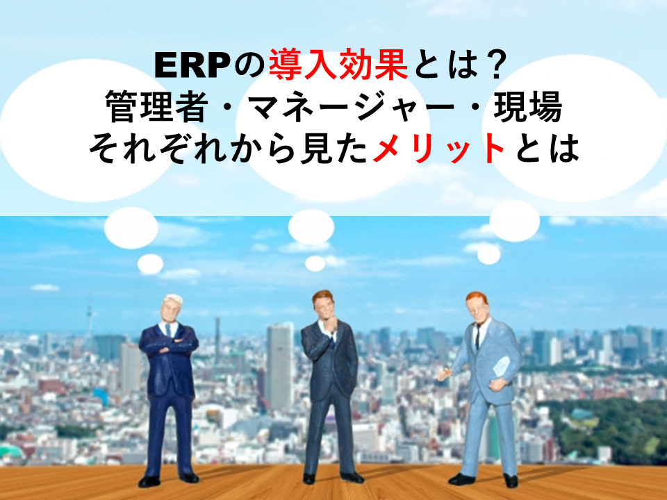 ERP 基幹システム